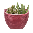 Jardineira Plástico de Parede Vinho 17x25cm Floridis