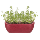 Jardineira Plástico de Parede Vinho 17x50cm Floridis