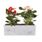 Jardineira Plástico Flat Cinza 21,5x67cm Japi