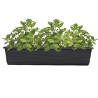 Jardineira Plástico Roma Preto 17x80cm Desli