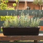 Jardineira Plástico Roma Preto 17x80cm Desli