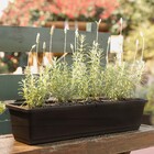 Jardineira Plástico Roma Preto 17x80cm Desli