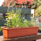 Jardineira Plástico Roma Terracota 17x80cm Desli