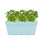 Jardineira Plastico Sampa Azul Pastel 17x40cm Naterial