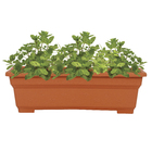 Jardineira Plástico Vicenza Terracota 11x36cm Desli