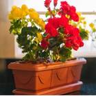 Jardineira Romano 85 (82,8l) Cor Cerâmica Nutriplan