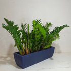 Jardineira Viena Para Plantas 100x20cm Floreira Polietileno A