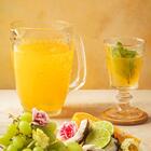 Jarra L Hermitage Woodstock Em Vidro 1,6l