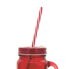 Jarrinha Retrô De Vidro Com Canudo Fullcolor Mimo