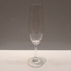 Jg 6pç Taças Champanhe Bohemia Bruna Cristal 220ml 23x6x6cm T