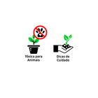 Jiboia Verde Pend Cuia 21