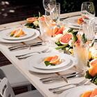 Jogo 12 Pratos Porcelana Fundos Brancos Tramontina Maria Augu