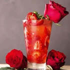 Jogo 18 Copos 400ml Para Água Suco Long Drink Ilhabela Nadir