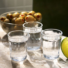 Jogo 24 Copos Americanos Shot Dose 45ml Nadir Figueiredo Em V