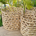 Jogo 3 Cestos Fibra Aguapé Organizador Multiuso 33x41 Marrom