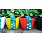 Jogo 4 Vasos Autoirrigável Botanique Redondo 2 Amarelas 2 Bra