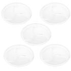 Jogo 5 Petisqueiras De Cristal 23cm Wolff Pearl 3 Divisórias