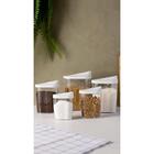 Jogo 5 Porta Mantimentos De Plástico Com Tampa My Box Branca