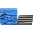 Jogo 6 Bolacha De Chopp Com Tartaruga Marinha Raias Tubarão Q