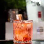 Jogo 6 Copos Baixos Cristal Forest L'hermitage 310ml