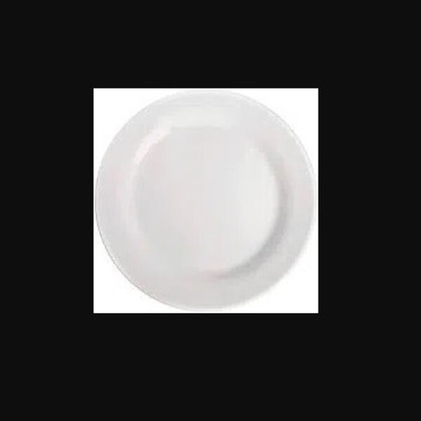 Jogo 6 Pratos Raso Opaline 24 Cm 574341 Nadir Figueiredo