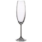 Jogo 6 Taças Champahne Gastro 230ml – Bohemia - Transparente