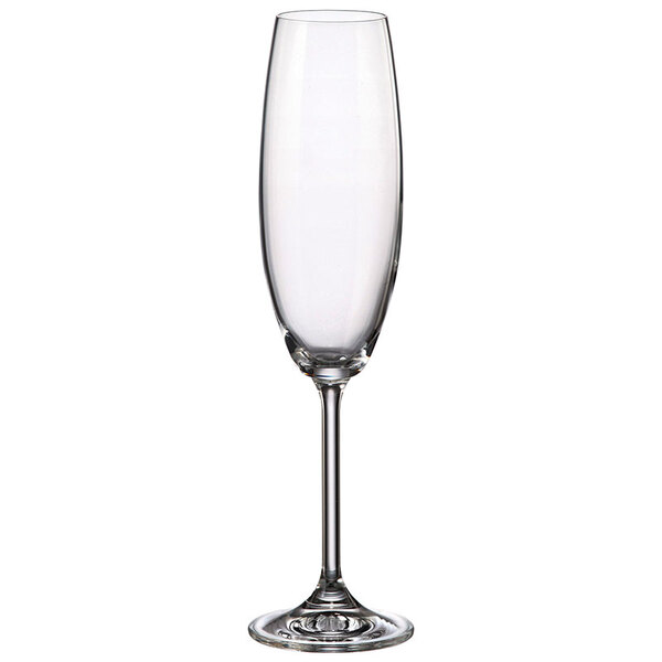 Jogo 6 Taças Champahne Gastro 230ml – Bohemia - Transparente