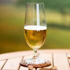 Jogo 6 Taças Cristal Ecológico Cerveja Columba Bohemia 470ml