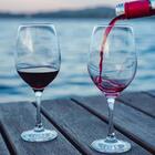 Jogo 6 Taças De Vidro Para Vinho Tinto 420ml Lyor Degustação