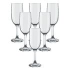 Jogo 6 Taças Gallant 7808 Champagne Nadir Figueiredo
