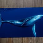 Jogo Americano 2 Unidades  Baleia Jubarte