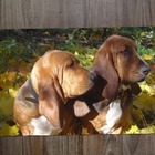 Jogo Americano 2 Unidades  Basset