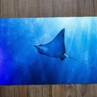 Jogo Americano 2 Unidades  Raia Chita