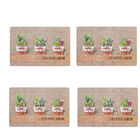 Jogo Americano 4 (quatro) Unidades Suculentas