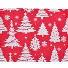 Jogo Americano Cervena Sortido 33x45cm Decoração De Natal