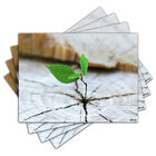 Jogo Americano - Folha Com 4 Peças - 840jo