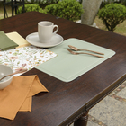 Jogo Americano PVC Color Salvia 44x28,5cm