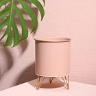 Jogo Cachepô Ferro Fun C/3 - Cinza, Rosa E Verde