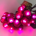 Jogo Cacho De Uva Led 20 Lâmpadas À Pilha Roxo Decor Mesa Nat