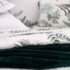 Jogo Cama Casal Lázio Felce Kacyumara