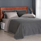 Jogo Cama King Buddemeyer 180 Fios Percalle Madison