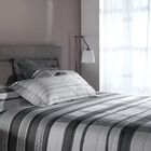 Jogo Cama King Buddemeyer 300 Fios Bud Vision Sato