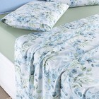 Jogo Cama Lençol Maris Queen Percalle 200 Fios Estampado 4 Pe