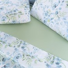 Jogo Cama Lençol Maris Queen Percalle 200 Fios Estampado 4 Pe