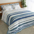 Jogo Cama Queen Buddemeyer 300 Fios Bud Vision Biarritz