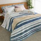 Jogo Cama Queen Buddemeyer 300 Fios Bud Vision Biarritz