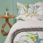 Jogo Cama Queen Casa Com Casa 200 Fios Cetim Quintal