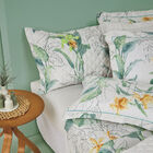 Jogo Cama Queen Casa Com Casa 200 Fios Cetim Quintal