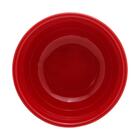 Jogo De 2 Bowls Wolff Retrô De Cerâmica Vermelho 10cm X 4,5cm