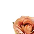 Jogo De 4 Aneis Rosa Para Guardanapo Em Plastico D7xa11cm Cor